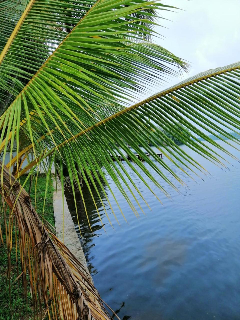 Hikka Lagoon Hikkaduwa Buitenkant foto