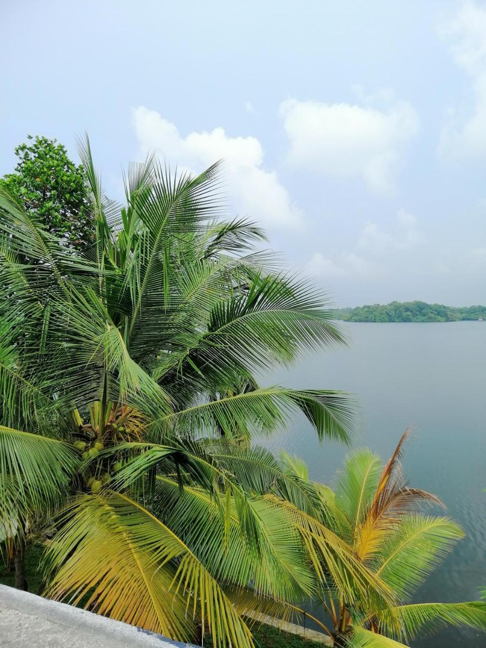Hikka Lagoon Hikkaduwa Buitenkant foto