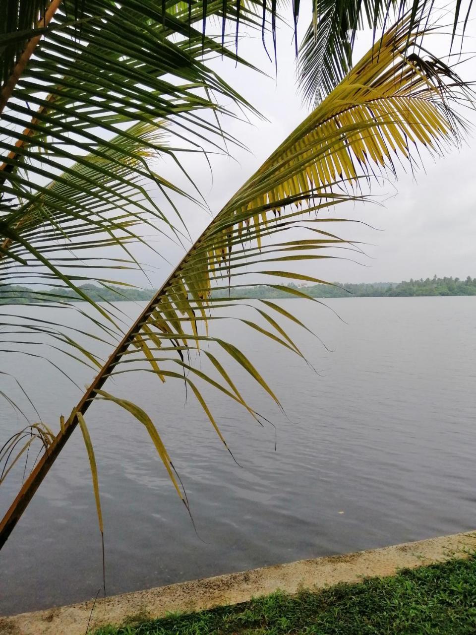 Hikka Lagoon Hikkaduwa Buitenkant foto